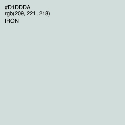 #D1DDDA - Iron Color Image