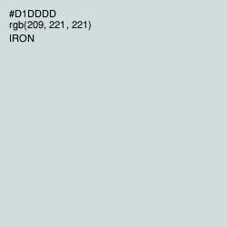 #D1DDDD - Iron Color Image