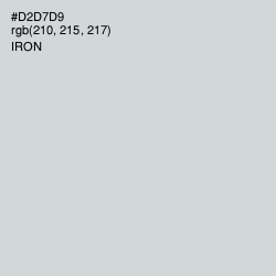 #D2D7D9 - Iron Color Image