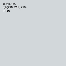 #D2D7DA - Iron Color Image