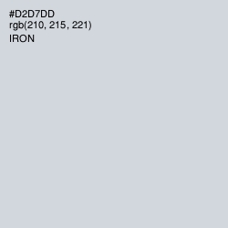 #D2D7DD - Iron Color Image