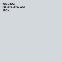 #D2D8DC - Iron Color Image