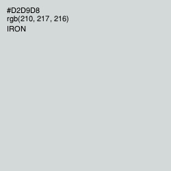 #D2D9D8 - Iron Color Image