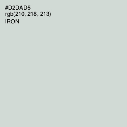 #D2DAD5 - Iron Color Image