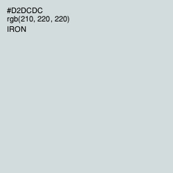 #D2DCDC - Iron Color Image