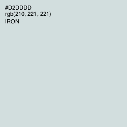 #D2DDDD - Iron Color Image