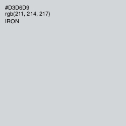 #D3D6D9 - Iron Color Image