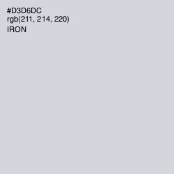 #D3D6DC - Iron Color Image