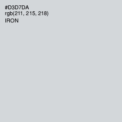 #D3D7DA - Iron Color Image