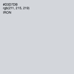 #D3D7DB - Iron Color Image