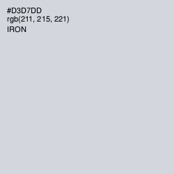 #D3D7DD - Iron Color Image