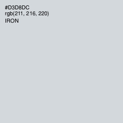 #D3D8DC - Iron Color Image