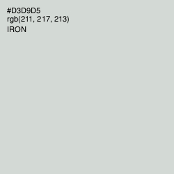 #D3D9D5 - Iron Color Image