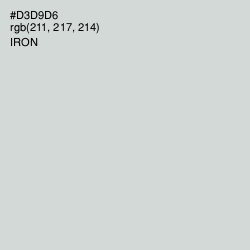 #D3D9D6 - Iron Color Image