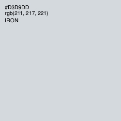 #D3D9DD - Iron Color Image