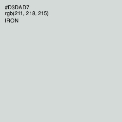 #D3DAD7 - Iron Color Image
