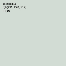 #D3DCD4 - Iron Color Image
