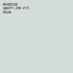 #D3DCD9 - Iron Color Image