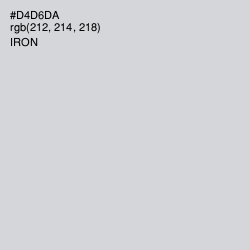 #D4D6DA - Iron Color Image