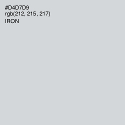 #D4D7D9 - Iron Color Image