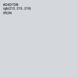 #D4D7DB - Iron Color Image