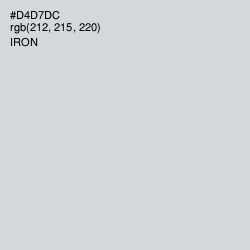 #D4D7DC - Iron Color Image
