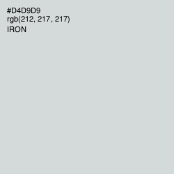 #D4D9D9 - Iron Color Image