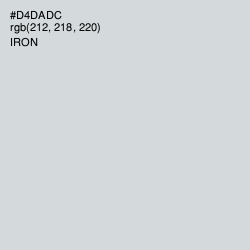 #D4DADC - Iron Color Image