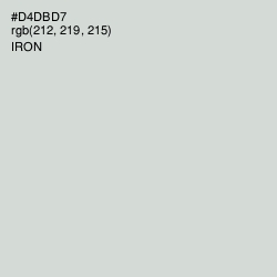 #D4DBD7 - Iron Color Image