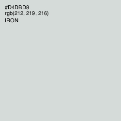#D4DBD8 - Iron Color Image