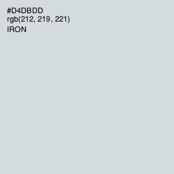 #D4DBDD - Iron Color Image