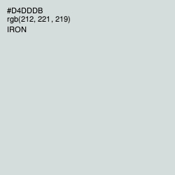 #D4DDDB - Iron Color Image