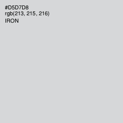 #D5D7D8 - Iron Color Image