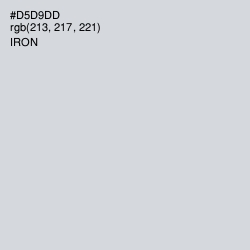 #D5D9DD - Iron Color Image