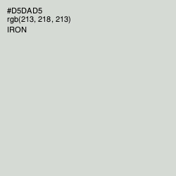 #D5DAD5 - Iron Color Image