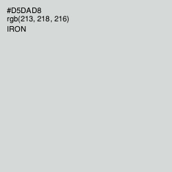 #D5DAD8 - Iron Color Image