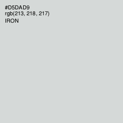 #D5DAD9 - Iron Color Image