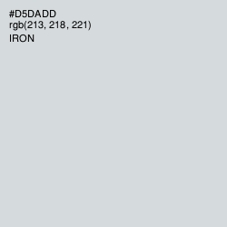 #D5DADD - Iron Color Image