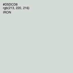 #D5DCD8 - Iron Color Image