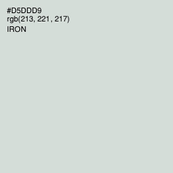 #D5DDD9 - Iron Color Image