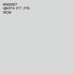 #D6D9D7 - Iron Color Image