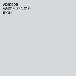 #D6D9DB - Iron Color Image