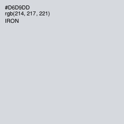 #D6D9DD - Iron Color Image