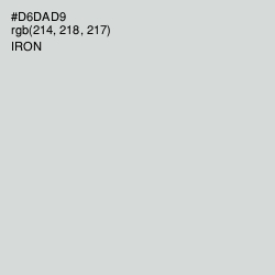 #D6DAD9 - Iron Color Image