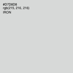 #D7D8D8 - Iron Color Image