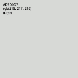 #D7D9D7 - Iron Color Image