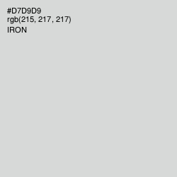 #D7D9D9 - Iron Color Image