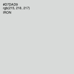 #D7DAD9 - Iron Color Image