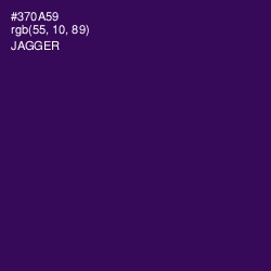 #370A59 - Jagger Color Image