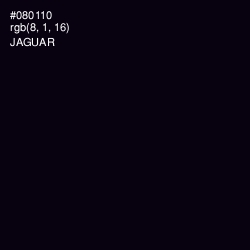 #080110 - Jaguar Color Image